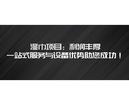 濕巾項(xiàng)目：利潤豐厚，一站式服務(wù)與設(shè)備優(yōu)勢(shì)助您成功！